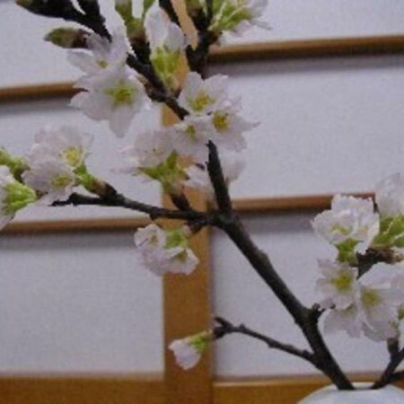 Wakaba Ryokan / Vacation Stay 29376 酒田市 エクステリア 写真