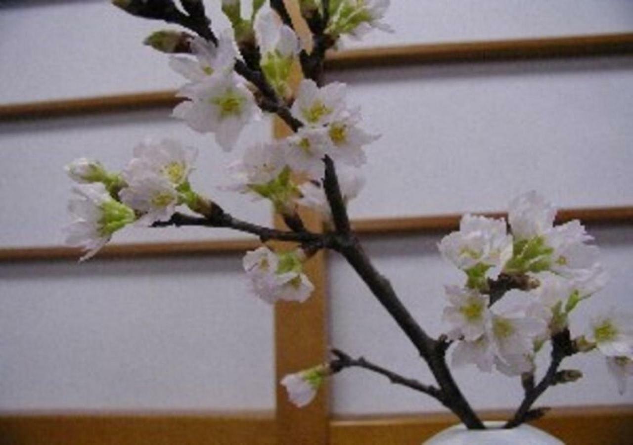 Wakaba Ryokan / Vacation Stay 29376 酒田市 エクステリア 写真